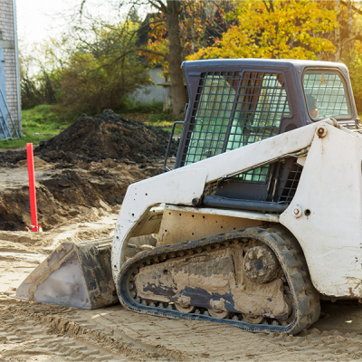 Bobcat