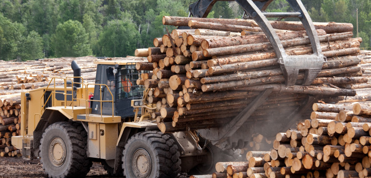 Forestry Insurance