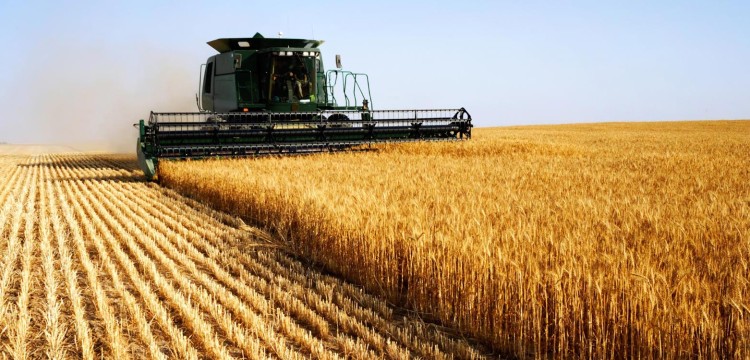 Assurance secteur agricole