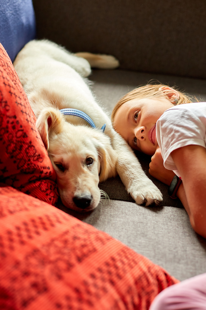 Moment de thérapie assistée par l’animal avec un chien reposant aux côtés d’une personne dans un environnement intérieur. Représentation d’une pratique nécessitant une protection d’assurance professionnelle pour les zoothérapeutes du Québec.