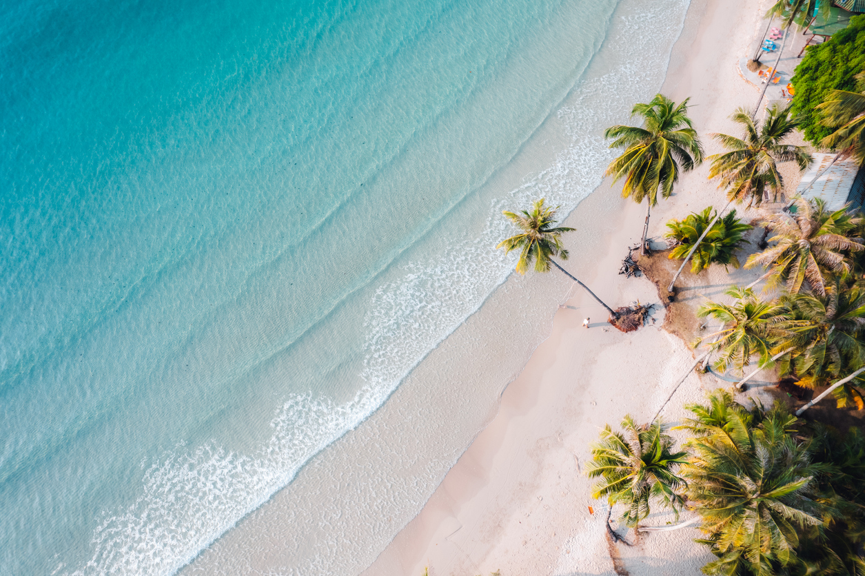 Paysage côtier vu du ciel avec plage et palmiers. Illustration visuelle associée à un concours lié aux assurances entreprises pour les membres de l’APCHQ Outaouais.