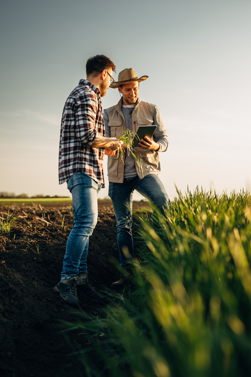 Inspection de jeunes plants par des professionnels agricoles à l’aide d’un appareil numérique. Contexte nécessitant une assurance pour entreprise agricole et la protection des activités professionnelles.
