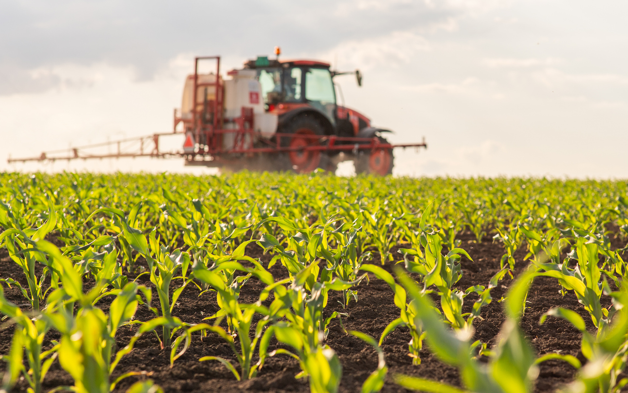 Champ cultivé avec jeunes plants et équipement agricole en opération. Contexte typique nécessitant une assurance pour entreprise agricole et la protection des activités professionnelles.