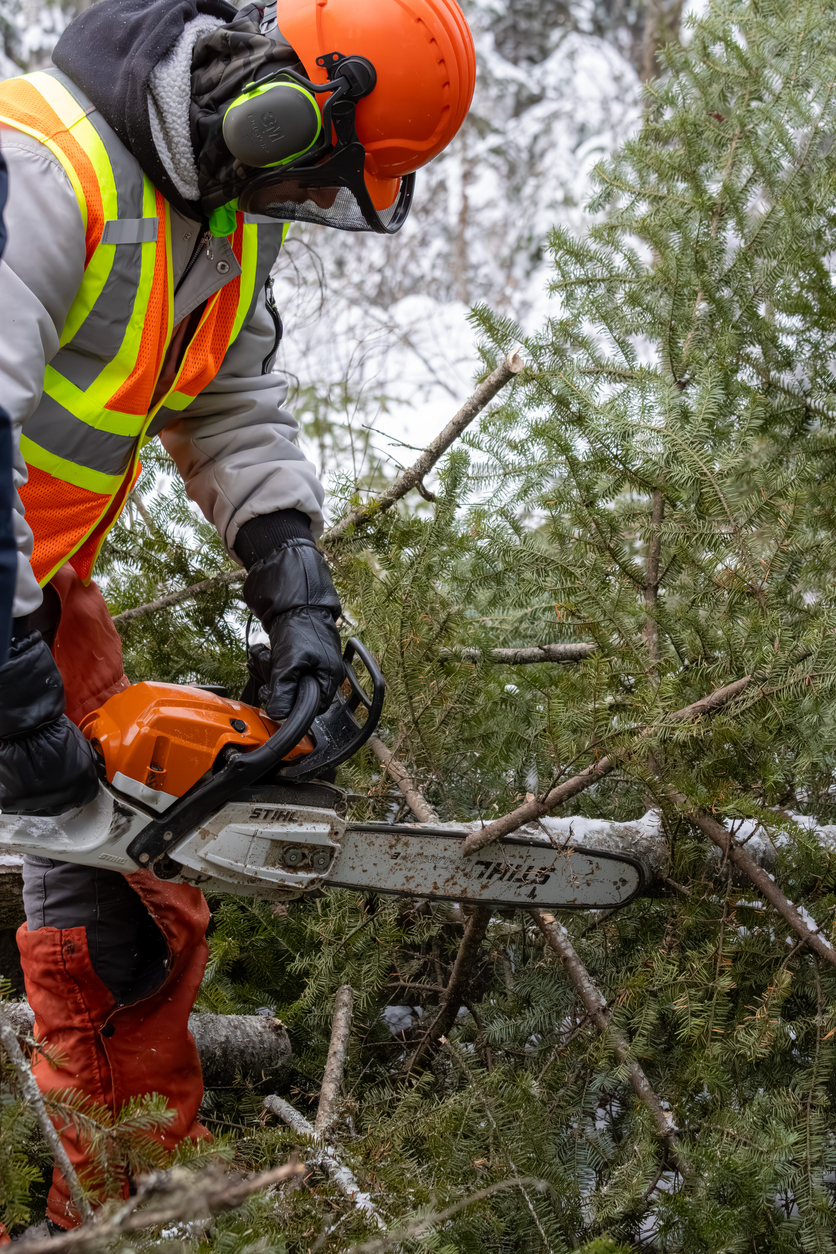 Travailleur forestier en tenue de sécurité coupant un arbre, évoquant la gestion des risques et les assurances au Québec pour activités forestières.
