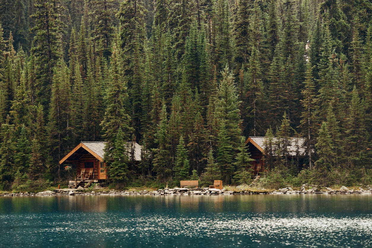 Chalets located in the heart of nature, facing a lake and surrounded by conifer trees. Environment representative of a cottage or a secondary residence.