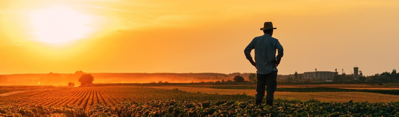 Farmer reviewing crop fields at the end of the season to assess the year and plan future operations.