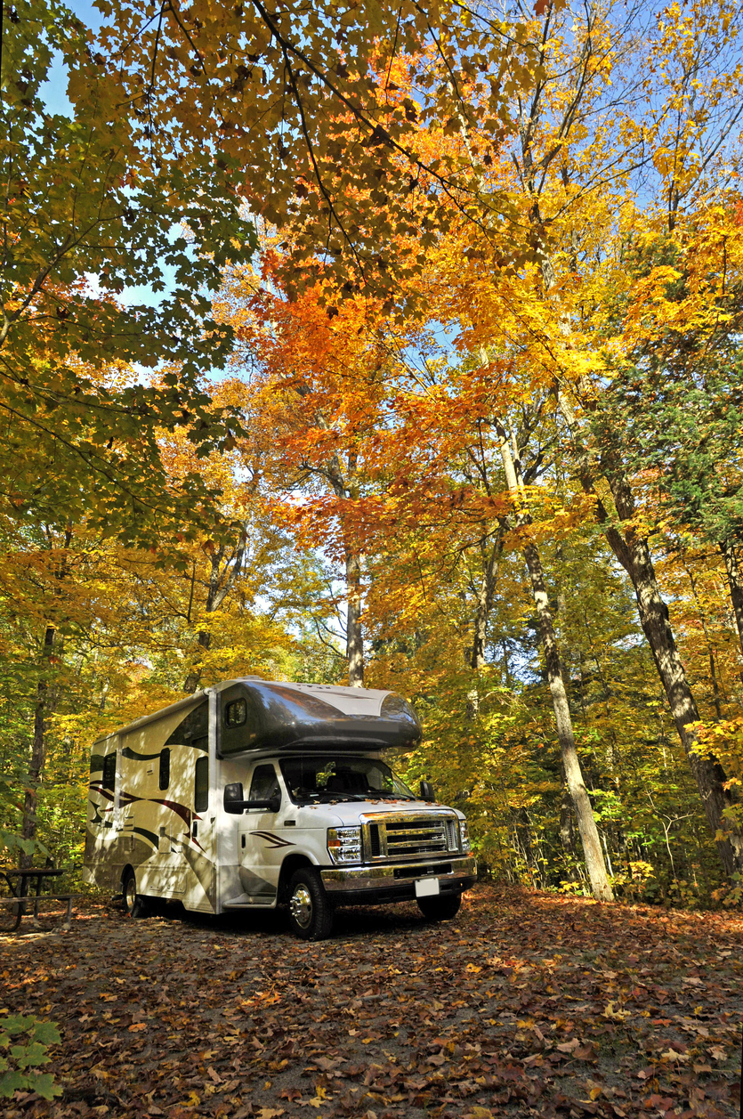 Véhicule récréatif motorisé stationné dans une forêt aux couleurs de l'automne. De grands arbres aux feuillages jaunes, orangés et verts entourent le véhicule, tandis que le sol est recouvert de feuilles tombées. L'image représente les déplacements en véhicule de loisirs et les différents types de véhicules pouvant être protégés par une couverture adaptée.